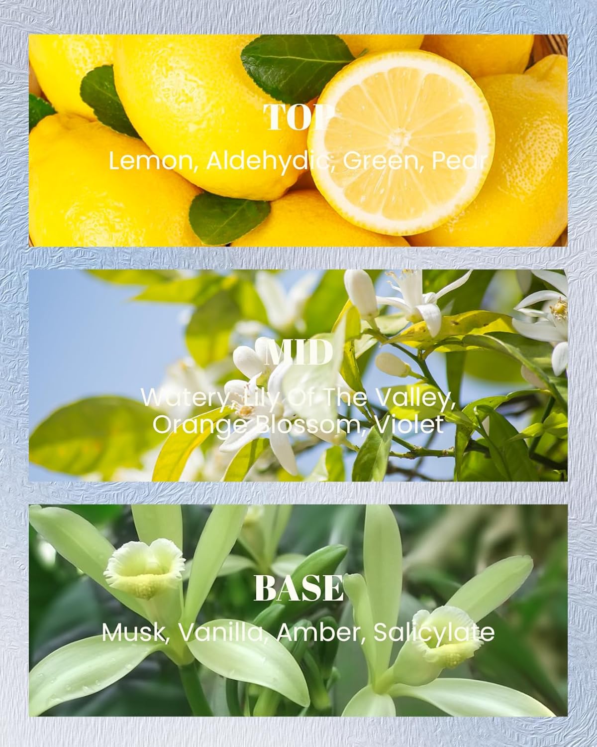 M&SENSE Green Floral Musky Scented Candles,Vegan Soy Wax,10oz 42-Hour Long Lasting Burning Time,Heavy Scented Candles for Relaxing Bathtub Sleep, Housewarming Gifts for Women & Men