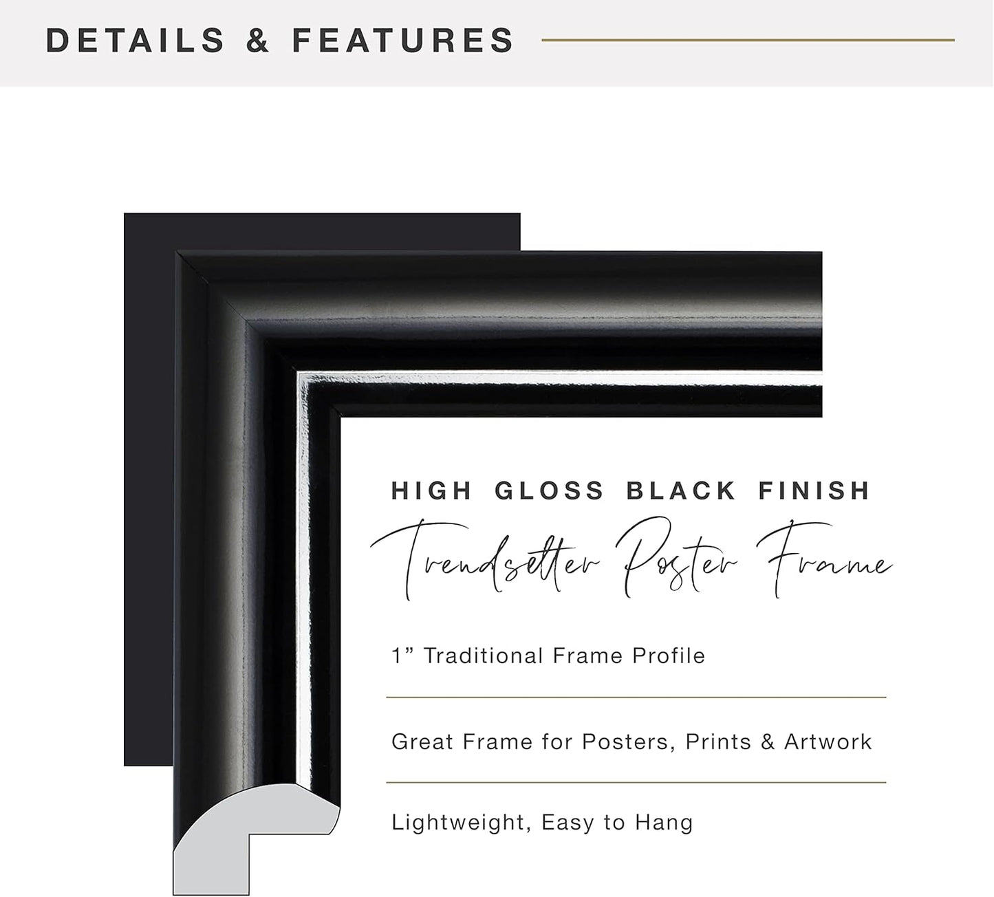 MCS Trendsetter 13x19 Poster Frame Black High-Gloss, Vertical & Horizontal Wall Hanging Large Picture Frame for Photos, Posters & Art Prints (2-Pack)