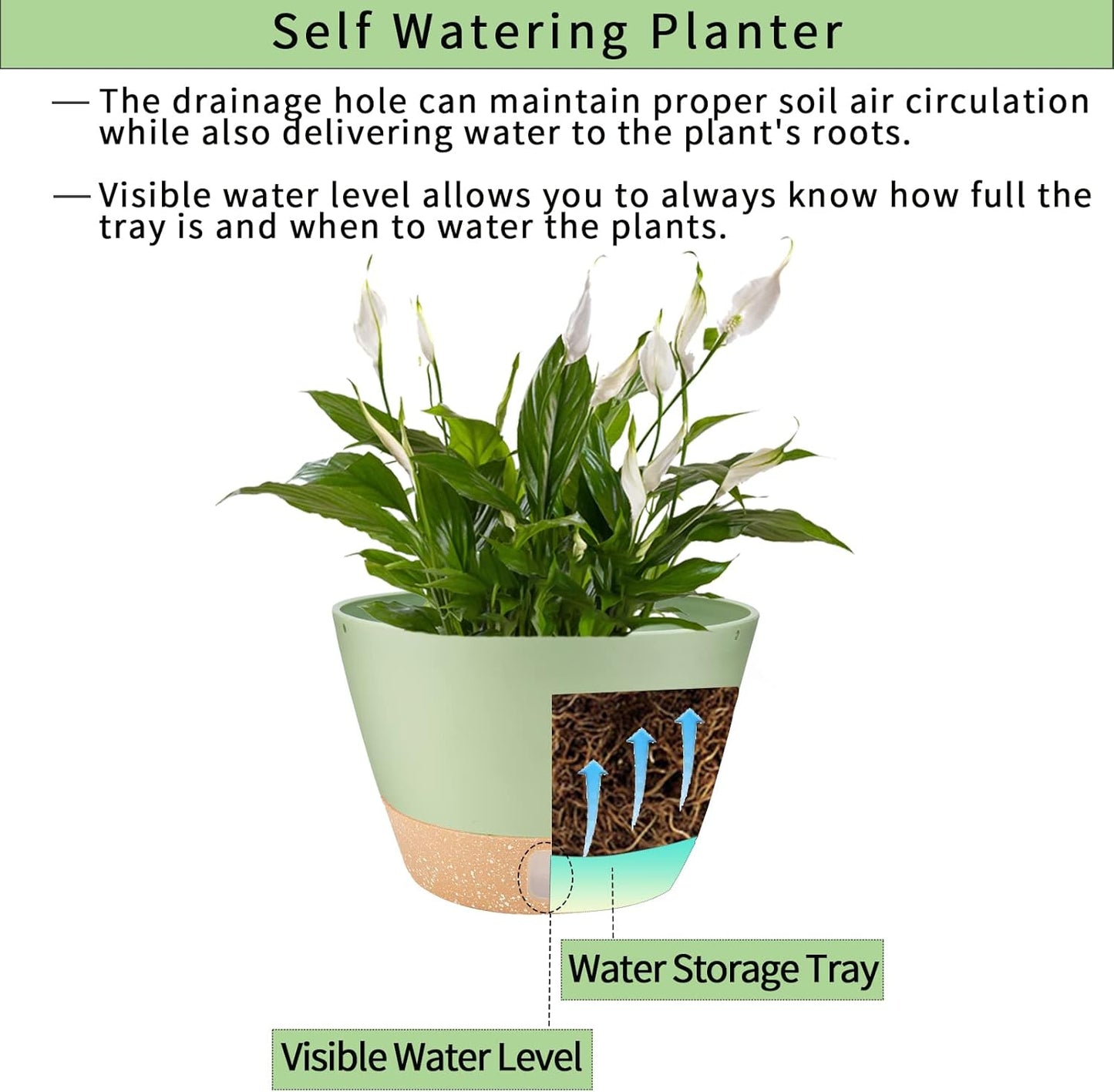 2 Pack Hanging Planters, 10 inch Indoor Outdoor Hanging Plant Pot Basket, Hanging Plastic Flower Pot with Drainage Hole with Removable Tray&Hooks for Hanging Plants,Green