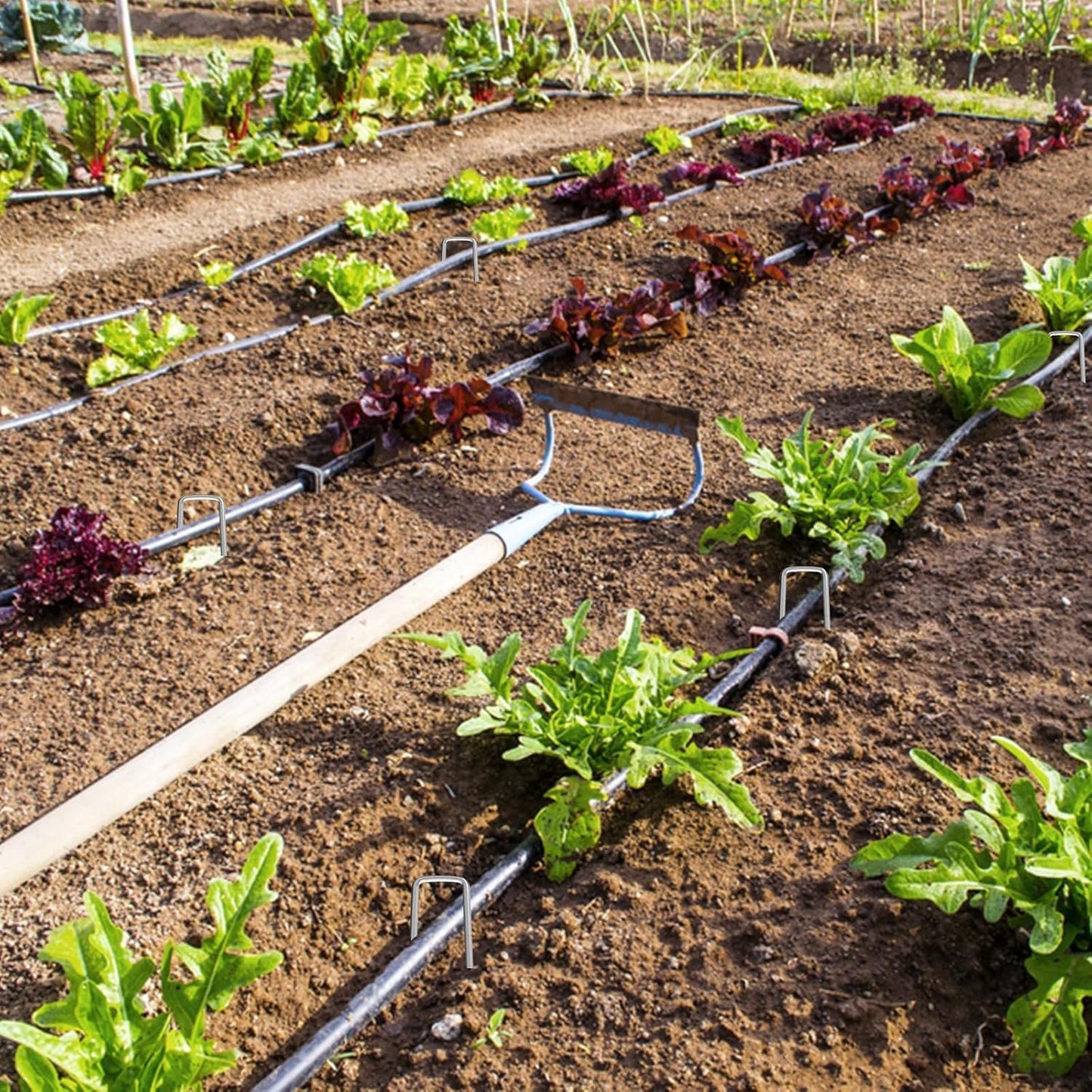 RAOOKIF 12 Inch Galvanized Garden Landscape Staples, 150Pcs Metal Stakes, 11 Gauge Heavy Duty Ground Stakes for Decoration, Fence, Lawn, Fabric Pins