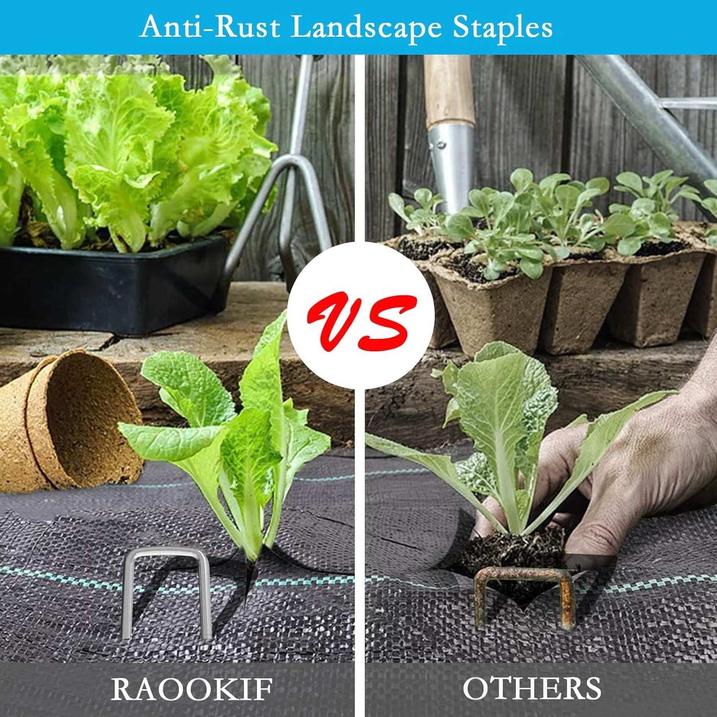 RAOOKIF 12 Inch Galvanized Garden Landscape Staples, 20/50/100/200Pcs Garden Metal Stakes, 11 Gauge Heavy Duty Ground Stakes for Decoration, Fence and Lawn Use, Fabric Pins (50, 12 Inch)