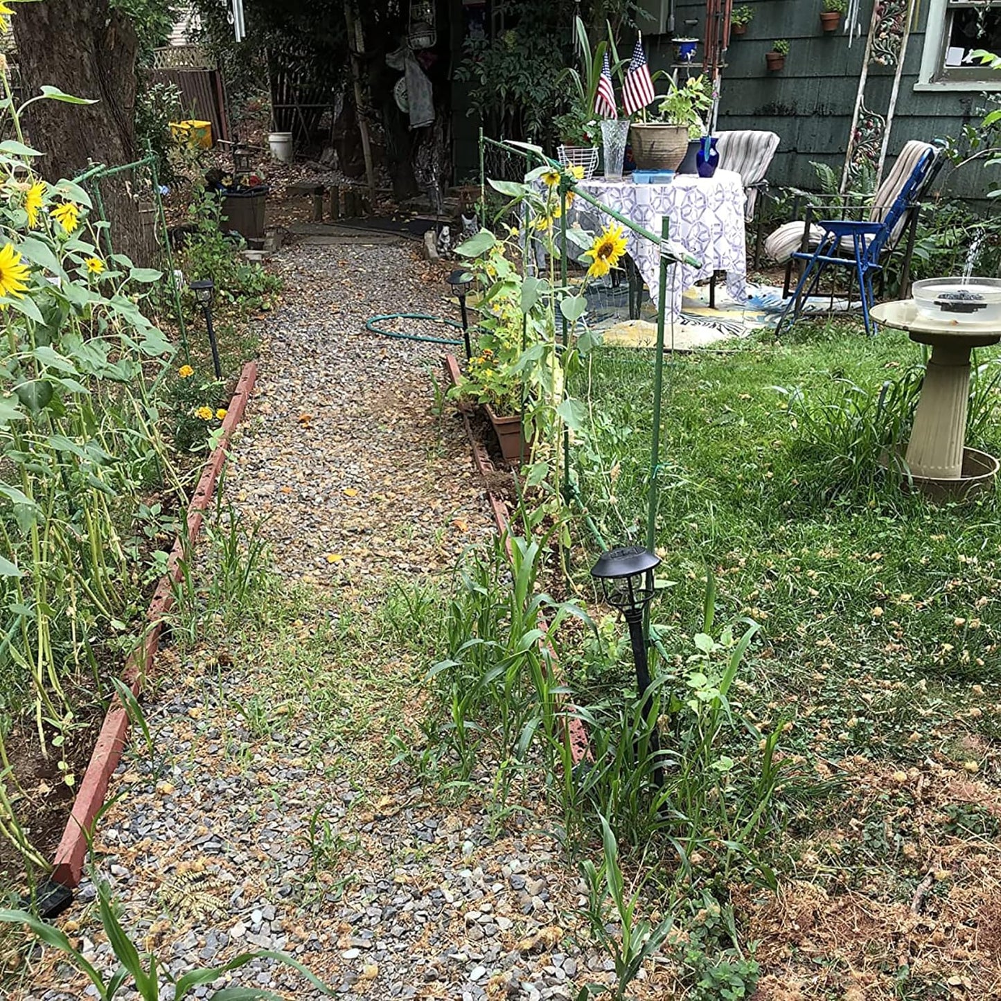 Garden Stakes 60 Pack, 16 Inch Each, DIY 3ft 4ft 5ft 6ft 7ft Sturdy Steel Plant Stakes with 50 Connectors, 30 Rotatable Clips, 10 A-Type Connecting Pipe and 164 Feet Twist Tie for Climbing Plants